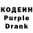 Amphetamine Premium Ganna Chichkova