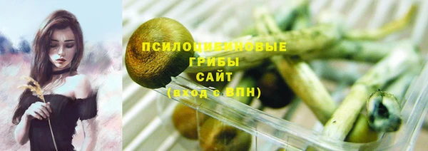 шишки Богданович