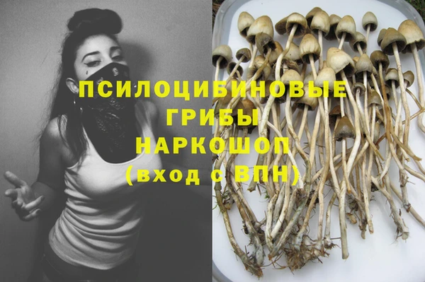 мдма Белокуриха