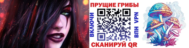 Псилоцибиновые грибы MAGIC MUSHROOMS  Малая Вишера 