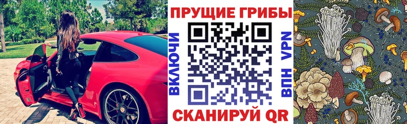 Псилоцибиновые грибы Cubensis Малая Вишера
